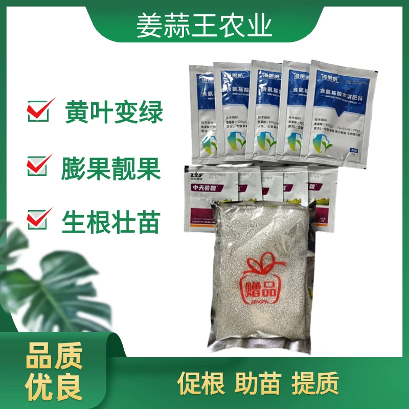 姜蒜王农业生根组合