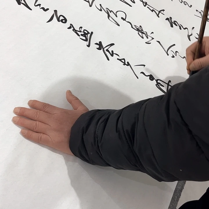 书法听*斋尤老师书法作品宝剑梅花