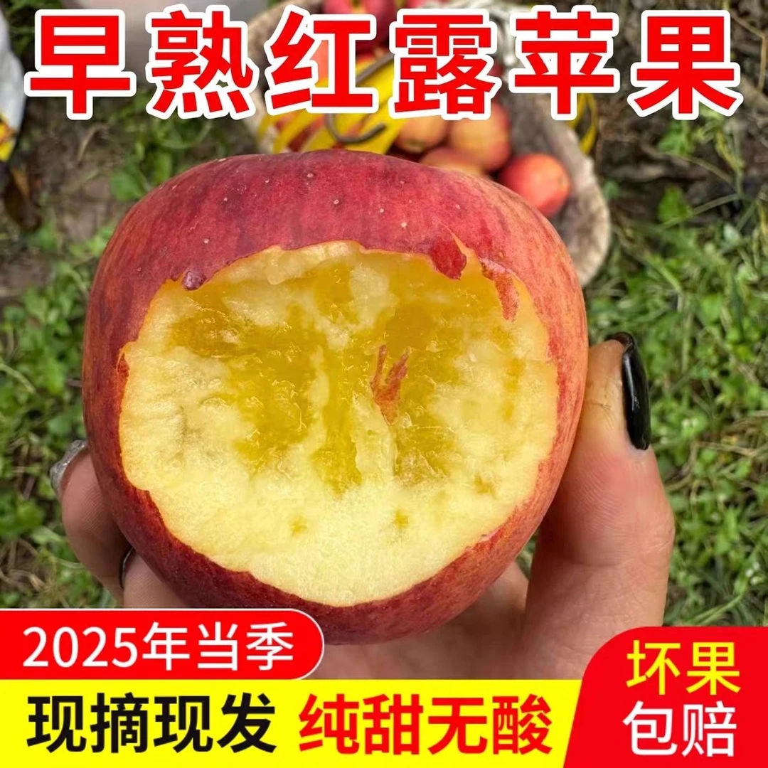 2025灵宝寺河山丑苹果冰糖心脆甜多汁新鲜当季水果整箱包邮