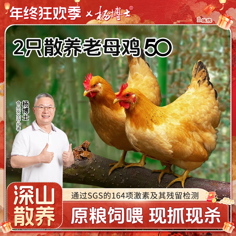 【两只老母鸡】杨博士安徽散养皖南土鸡老母鸡煲新鲜 包冰率不含冰