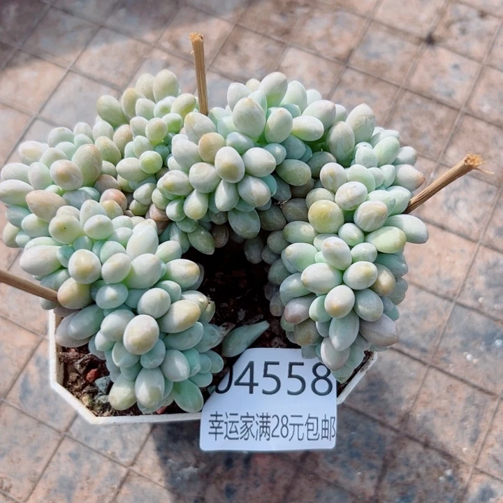 幸运的是我没有遇到过