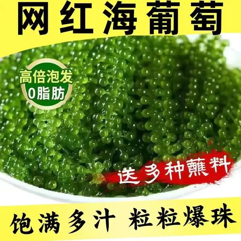 食用海葡萄绿色鱼子酱即食泡发新鲜盐渍海藻沙拉