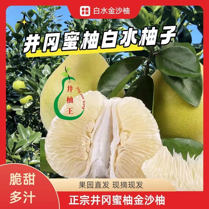 井冈蜜柚白水金沙柚江西吉水特产金兰柚清甜多汁生态原产地桃溪柚