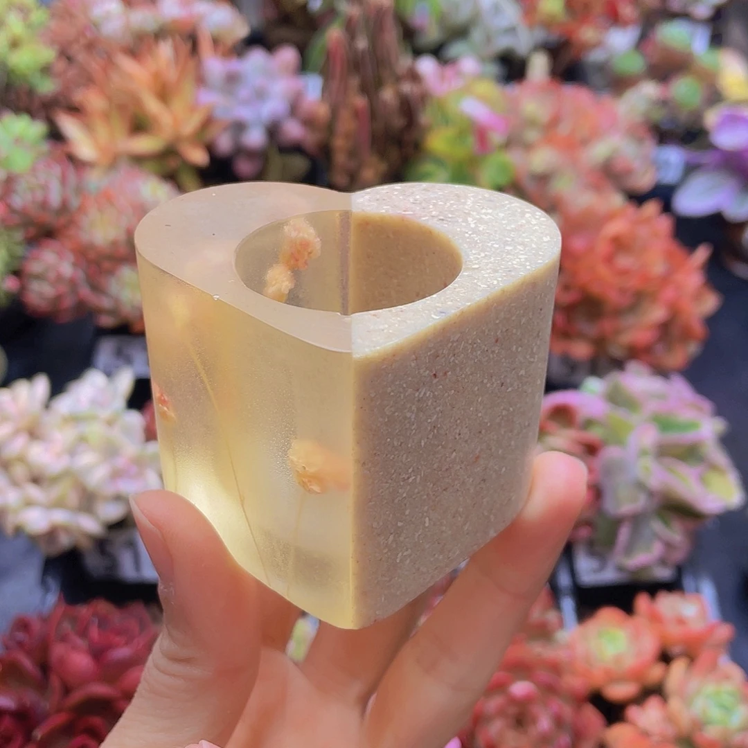 花钱花钱花钱花钱花钱