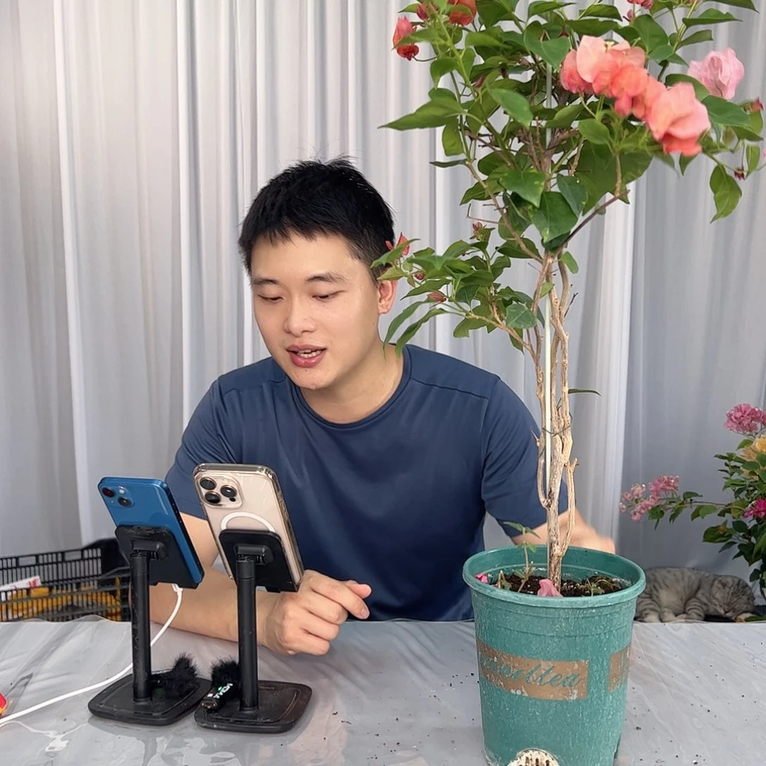 当前无花栽培后可以开花不甜西瓜带竹一棵