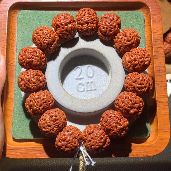 手串金刚菩提开播福利22+五星双龙