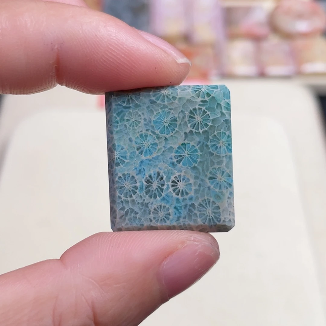 【闪购商品】未镶嵌吊坠(赠链)硅化玉空*
