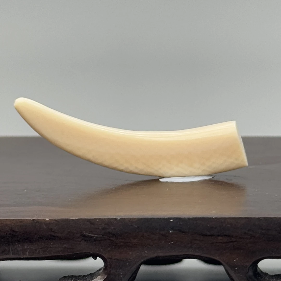 DEZHI/德志2g纯肉牙尖41*8*5mm猛犸牙默认打孔配吊坠绳K400