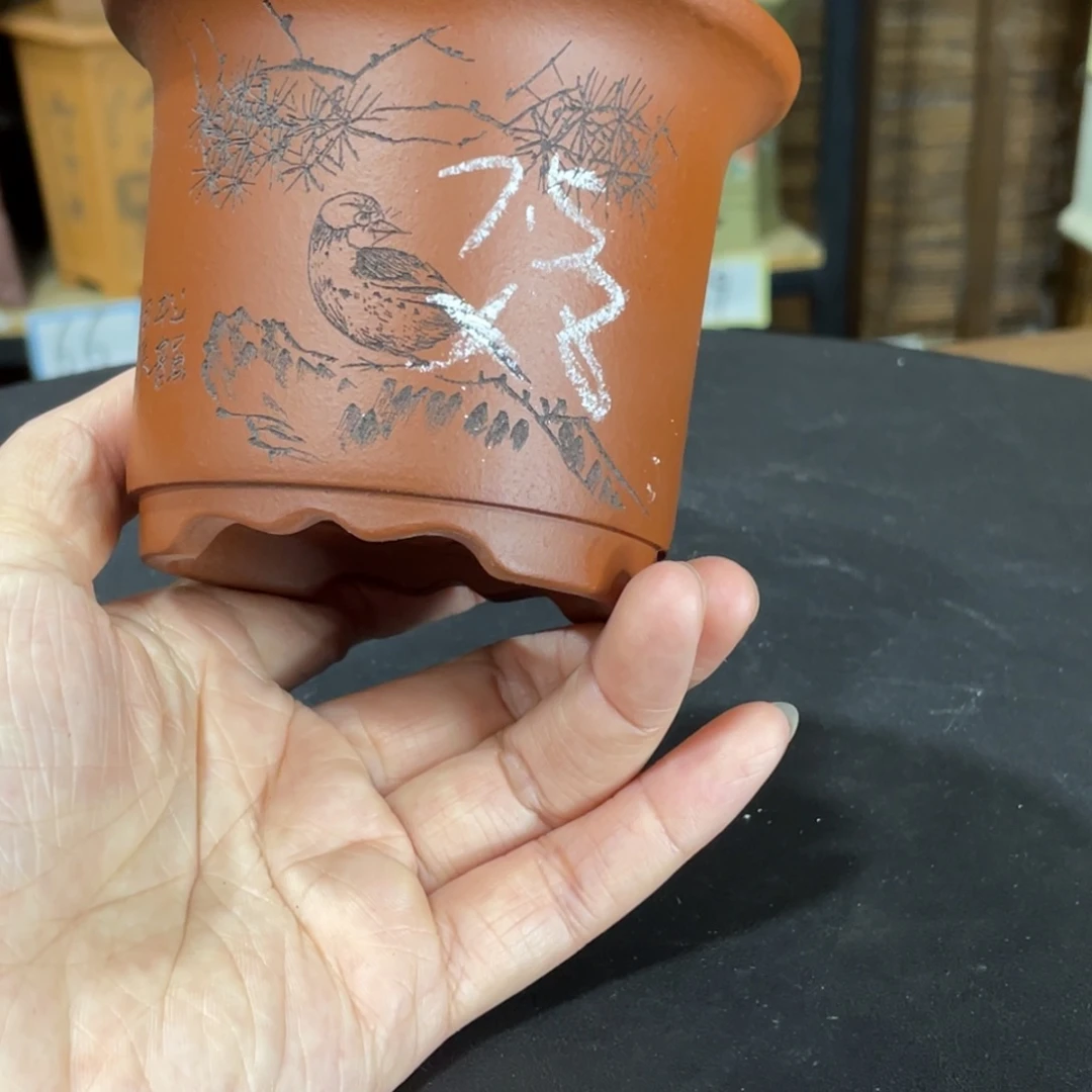 花盆紫砂你要我咋