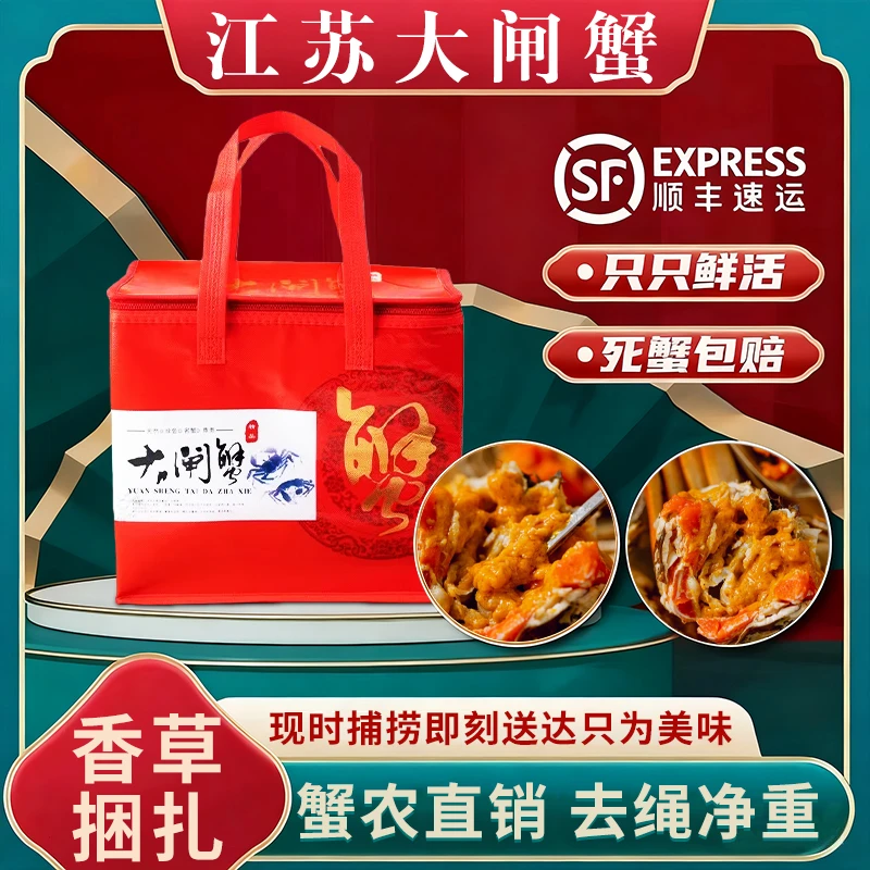活蟹/江苏大闸蟹/全母蟹3两（2.8-3.2规格）8只顺丰冷链发货
