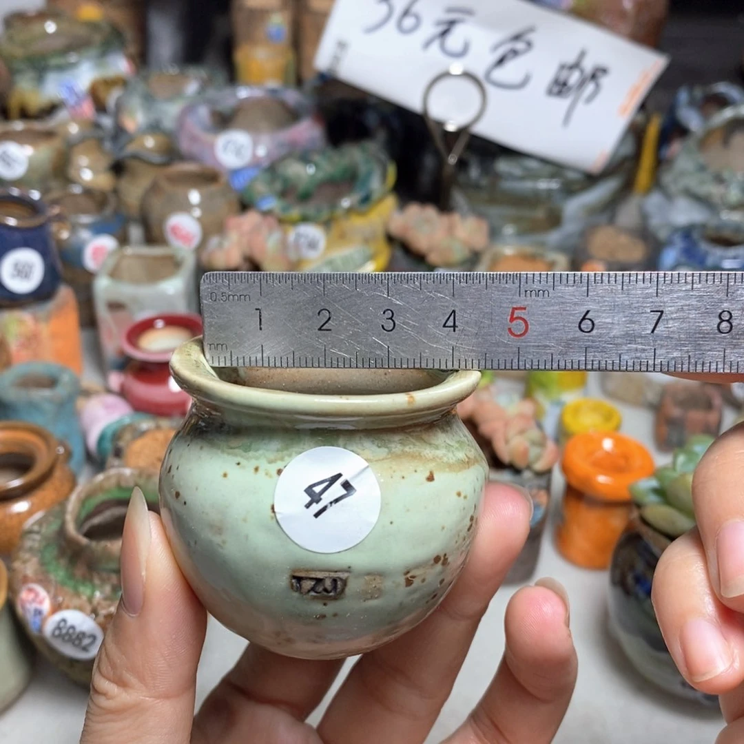 拍5送一个小礼物
