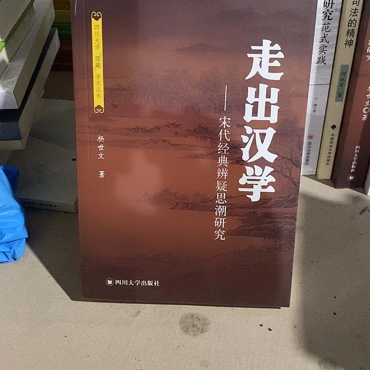 微瑕 走出汉学宋代经济辨疑思潮研究