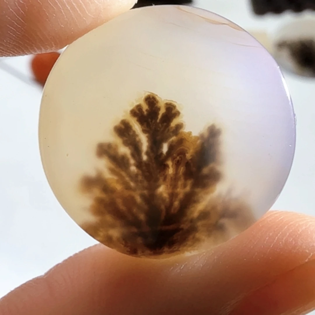 玛瑙/玉髓未镶嵌珠宝半成品