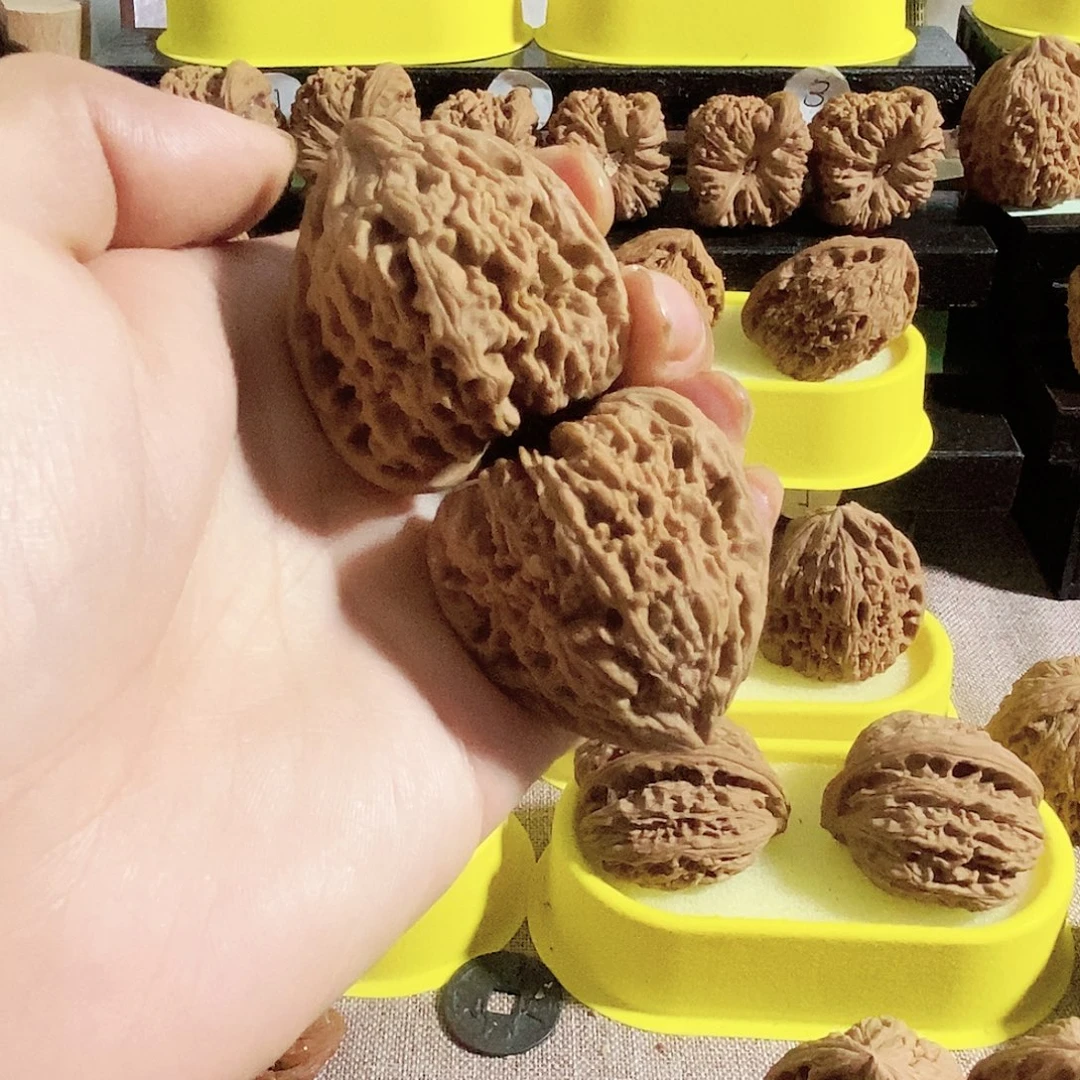 木质类今天是不是又