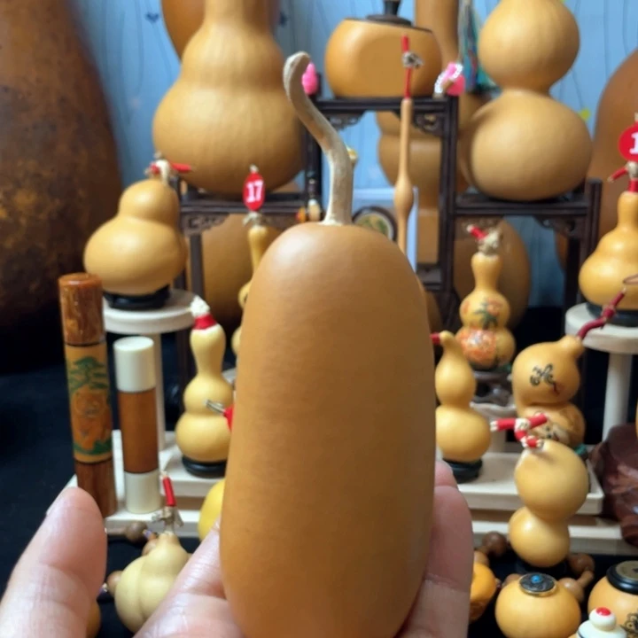 柿**意葫芦丝和音乐更像自己想