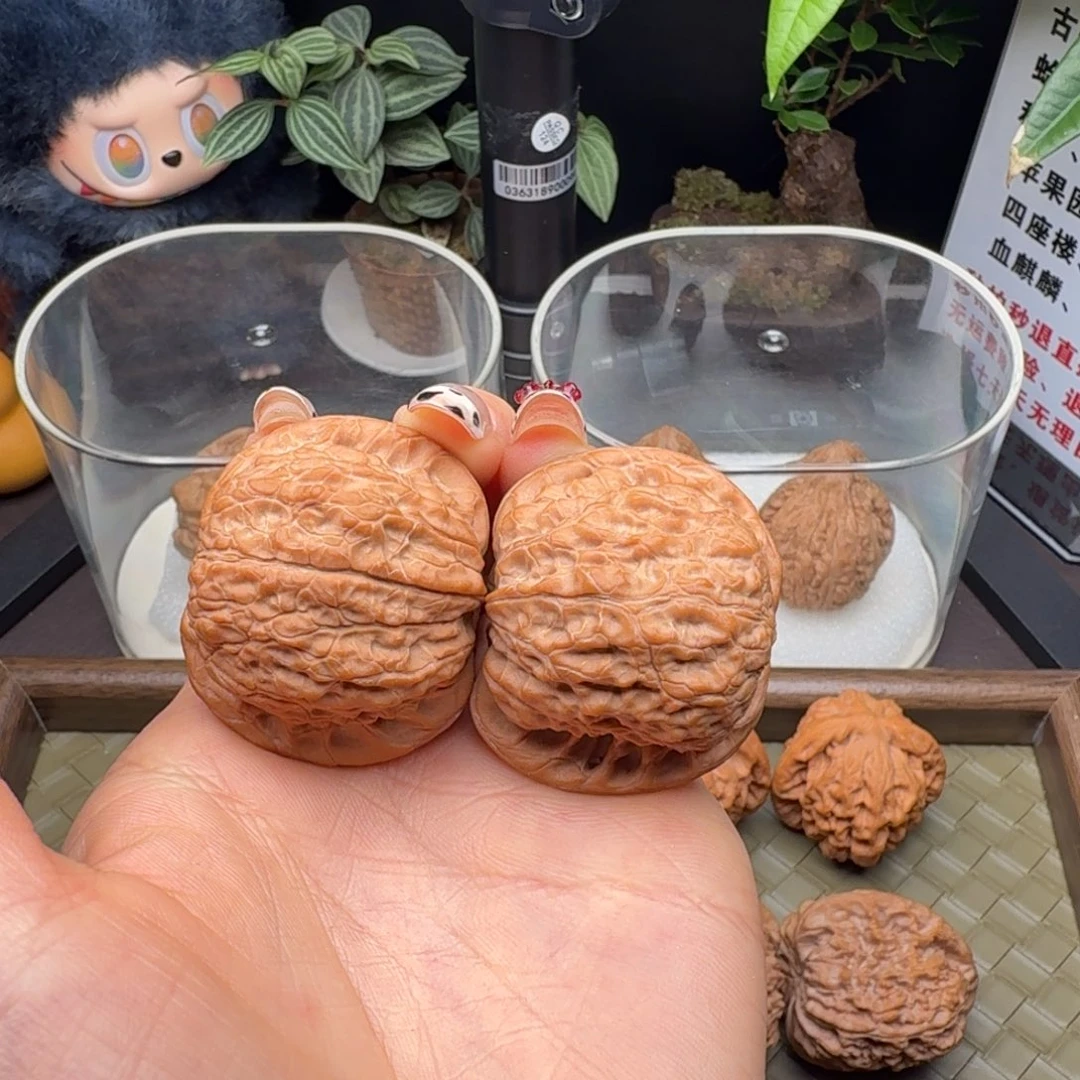 A***L核桃全品血麒麟40（小水尖）