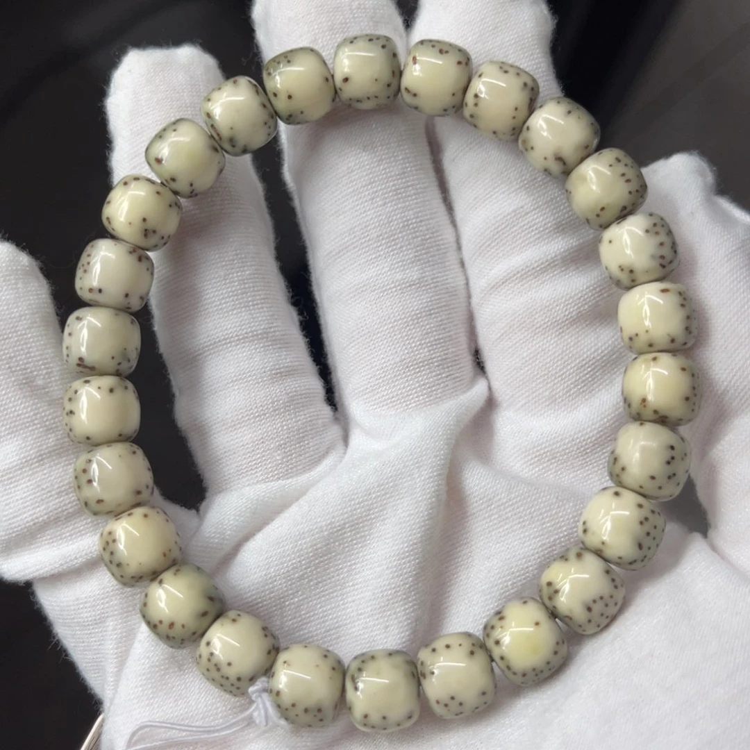 星月菩提吊坠9/8绿背河豚半壁江山