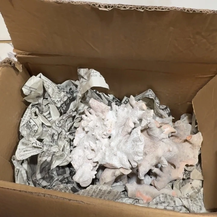 陶瓷推荐第二名20包邮