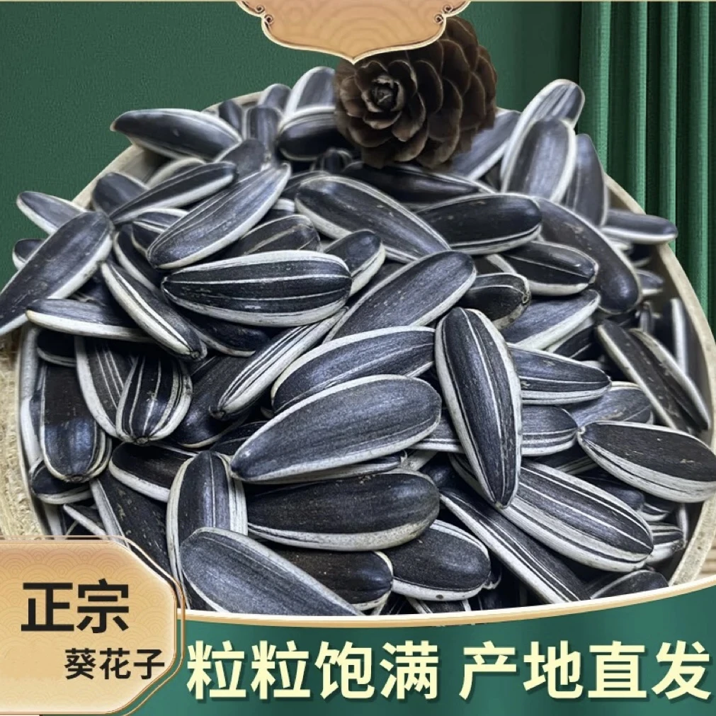 【两斤熟瓜子】原味熟瓜子葵瓜子颗粒饱满口感醇香休闲小零食