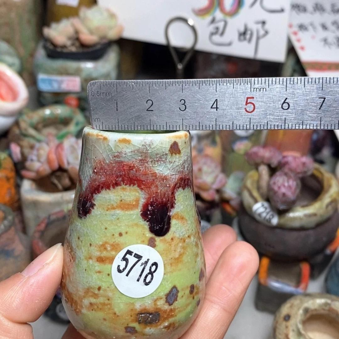 花盆拍5送一个小礼物