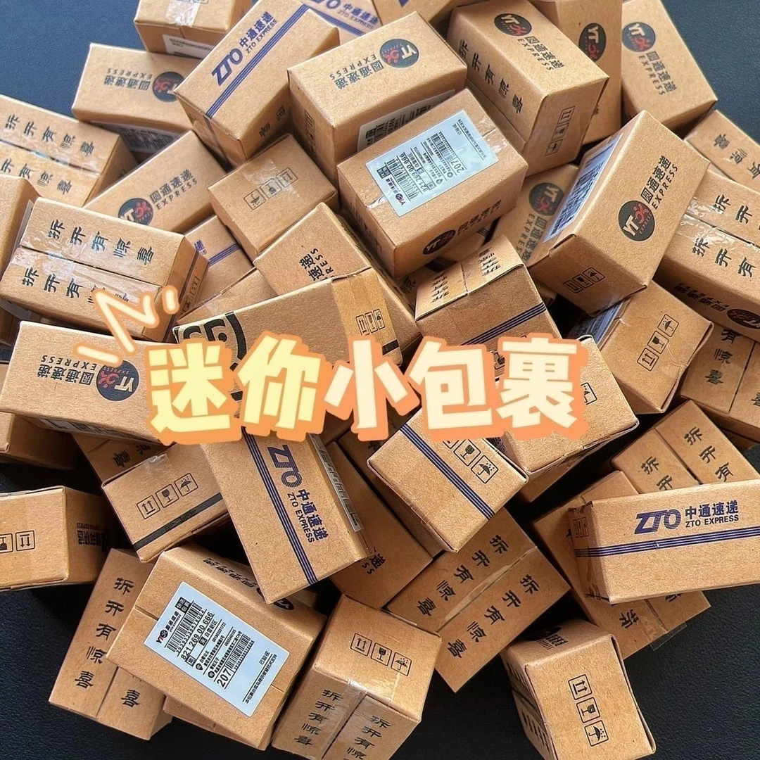 迷你包裹自制快递盒微缩盲学生版真食玩娃娃屋场景模型迷你小快递