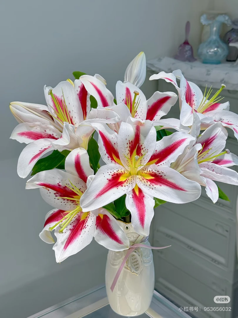 笑脸香水百合 昆明基地直发