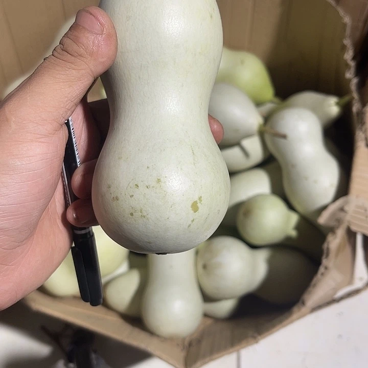 非洲紫檀（红花梨）老*