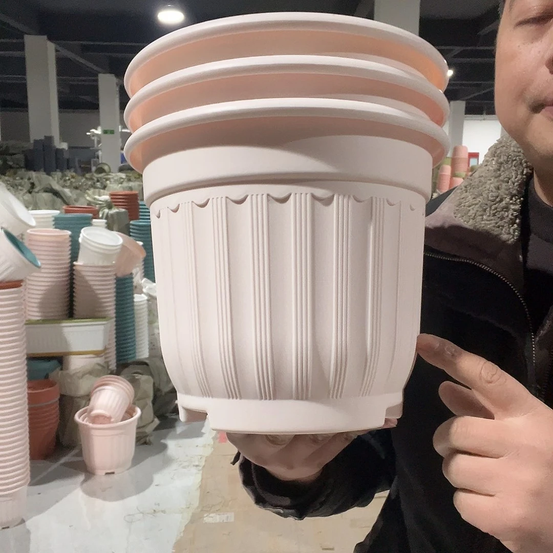 树脂罗马240粉3个无托