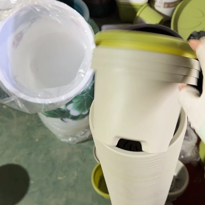 球根17口径10个无托灰白