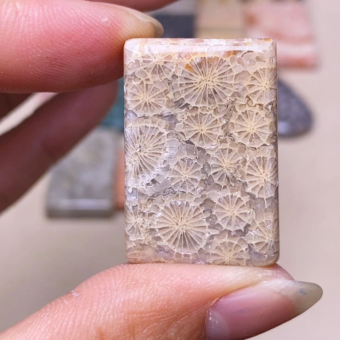 鱼***鱼硅化玉合金珊瑚玉