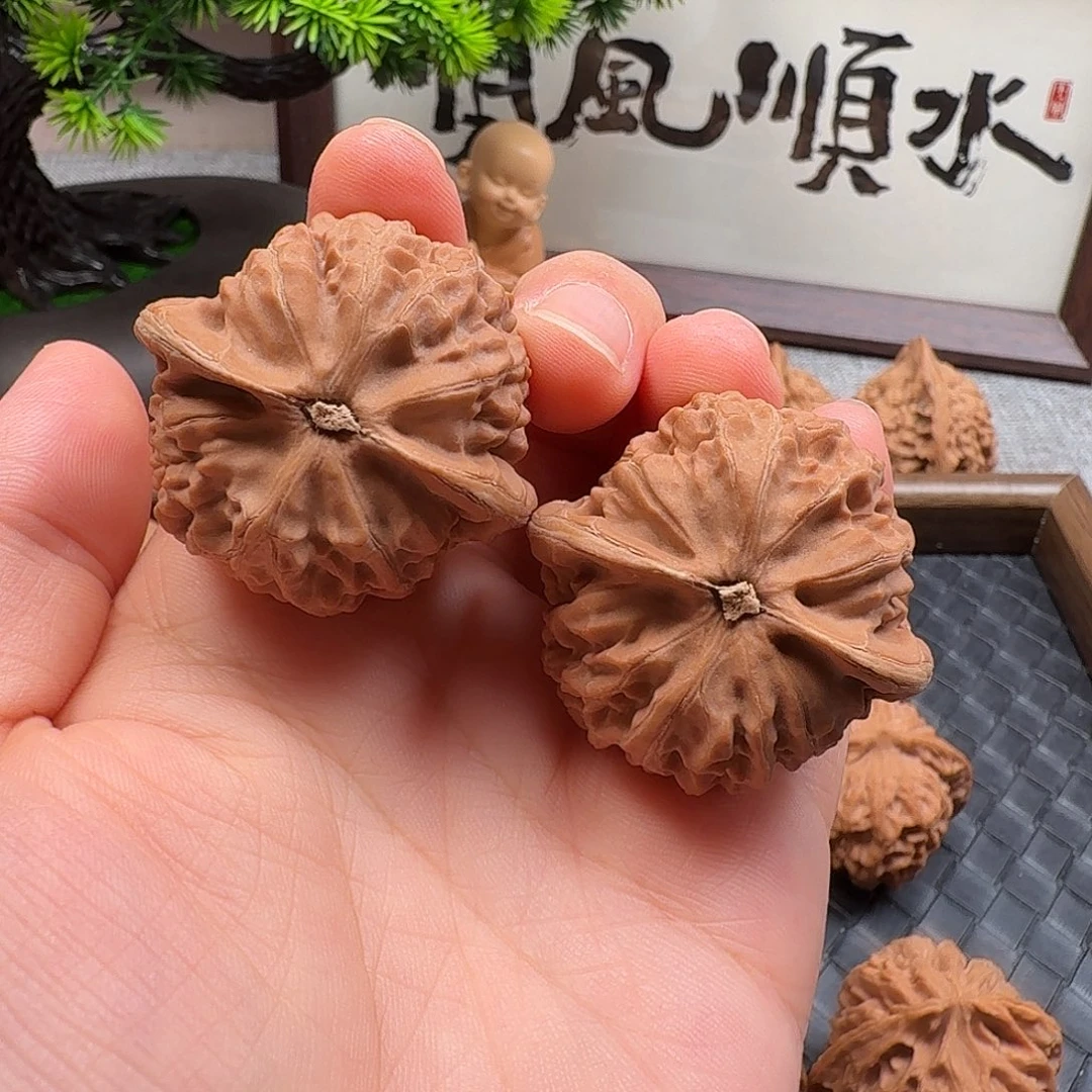 核桃全品宫灯新果41