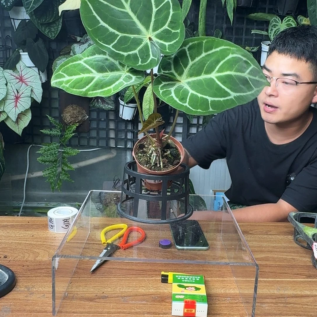 执***恩完全开放一物一拍121号