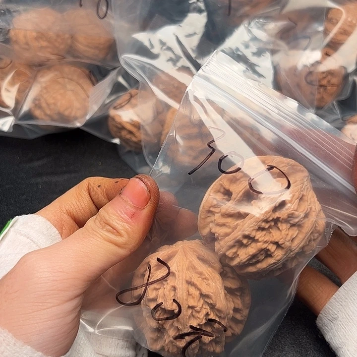 5555555555555555555555555