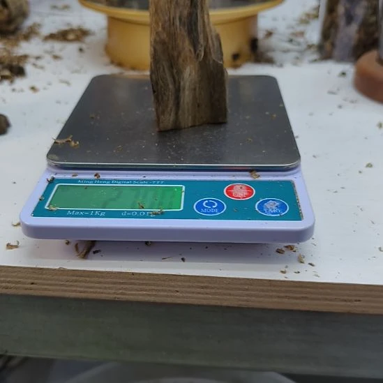 沉香沉香碎屑棋楠虫漏小料27克