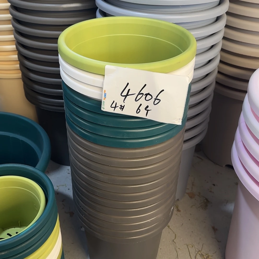 编号4606，4号无托