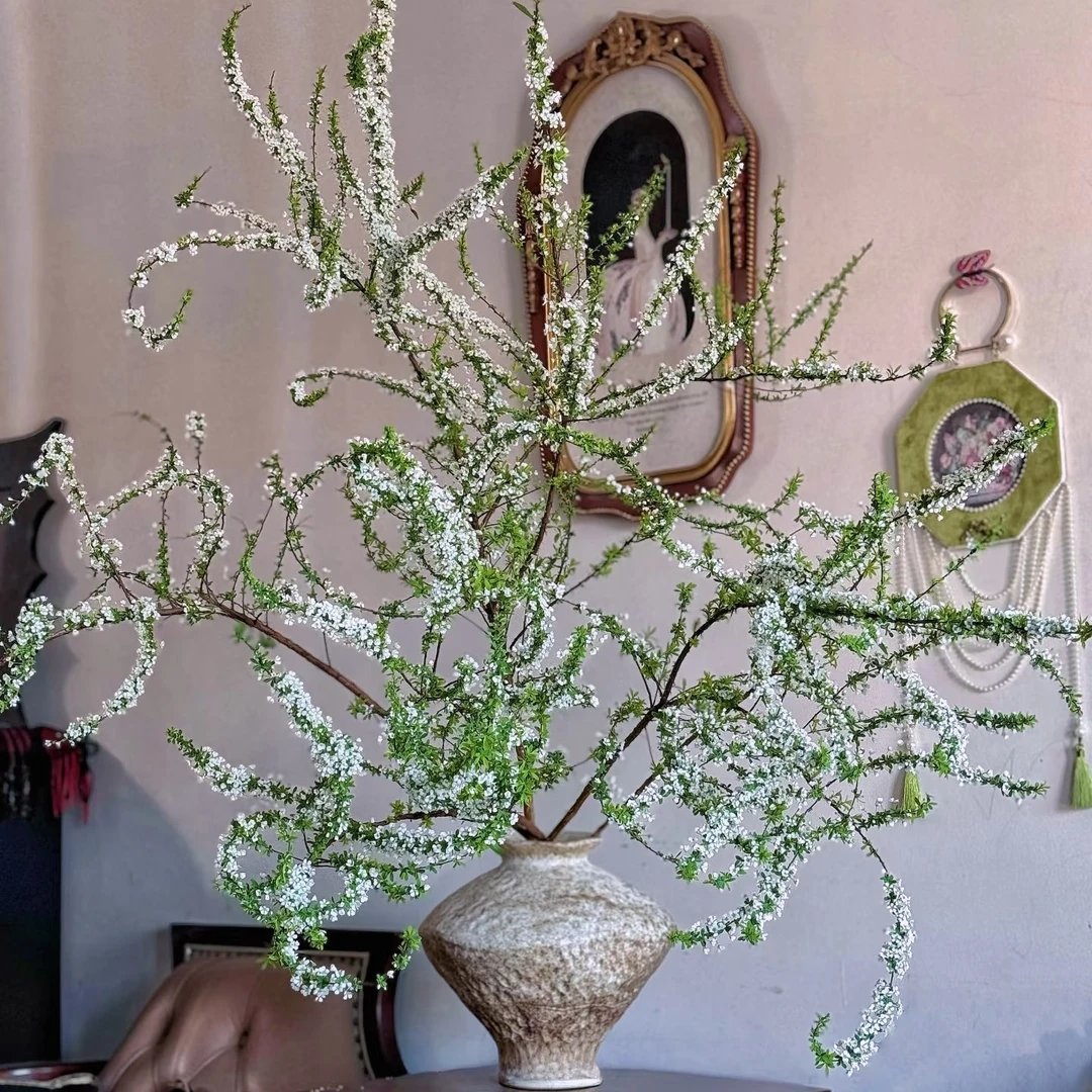 【AAA级雪柳花】超长枝，能爆花，基地直发，顺丰包邮