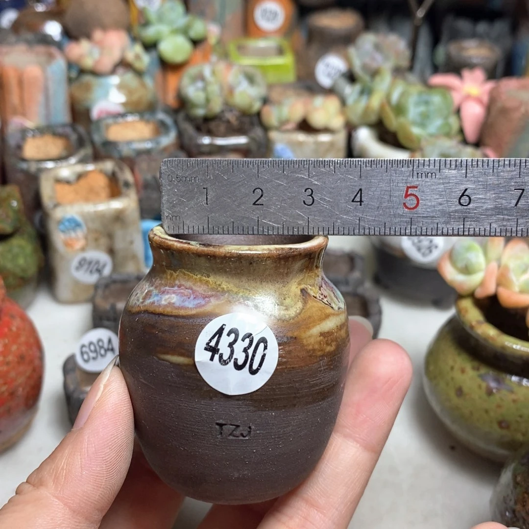 拍5送一个小礼物