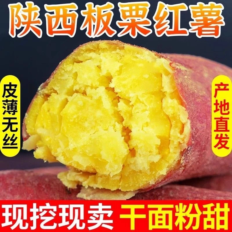 陕西正宗板栗红薯蜜薯粉糯香甜饱满皮薄新鲜现挖-砥砺1