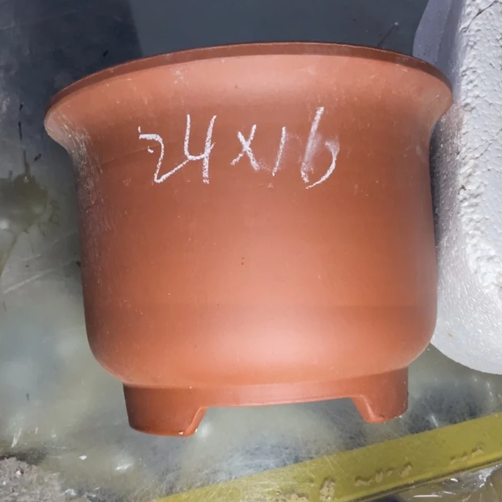 紫砂紫砂紫砂说