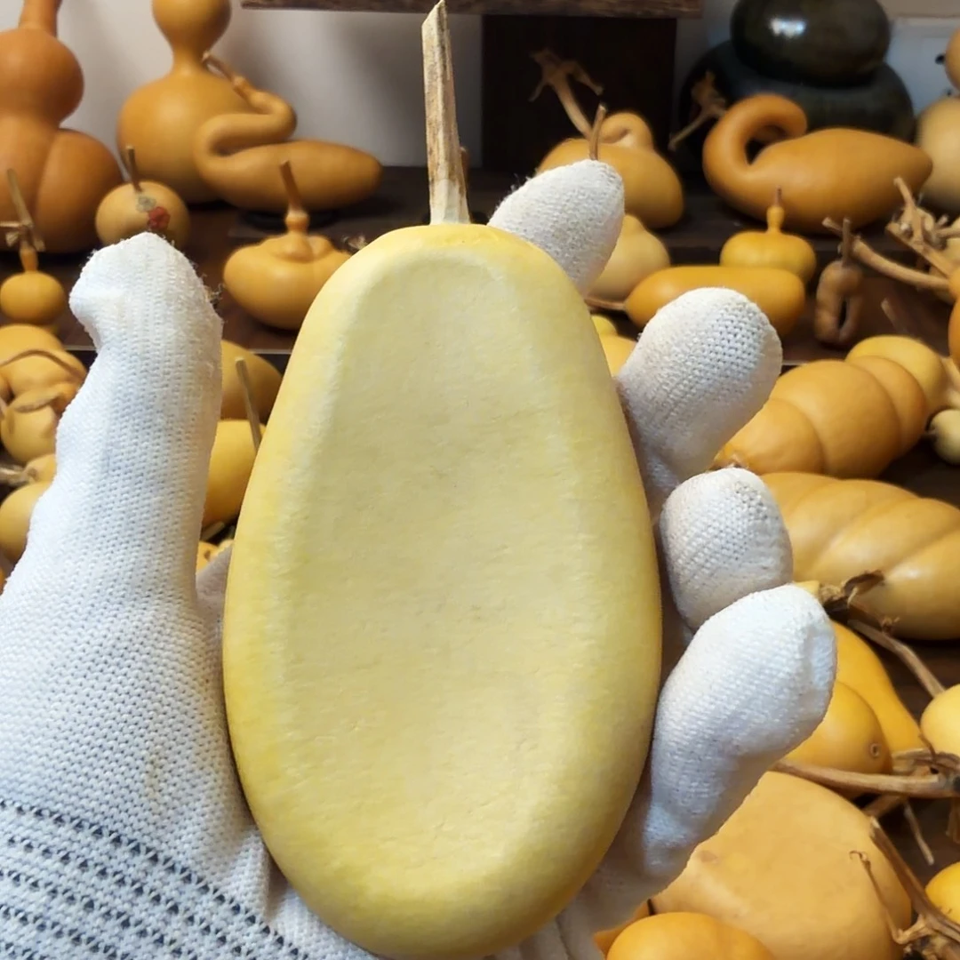 纯天然的真葫芦18