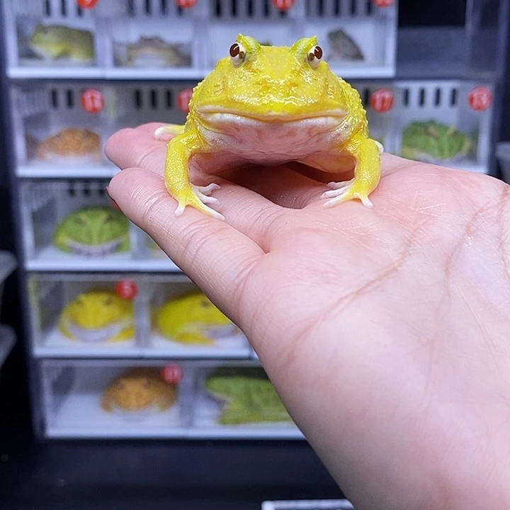 特价秒杀活动地址