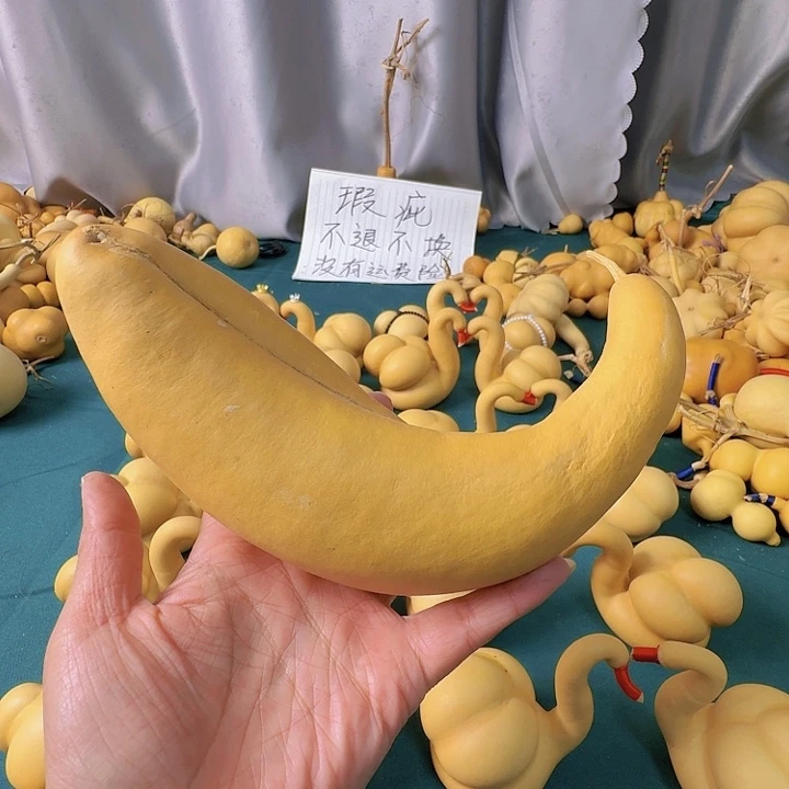 肖***明大叶紫檀（黑酸枝木类）