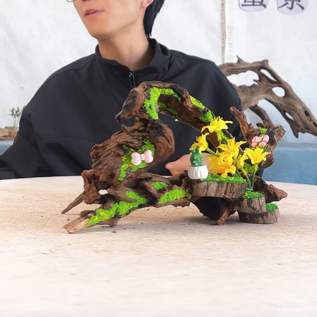 31.17.18 沉木造景爬宠造景