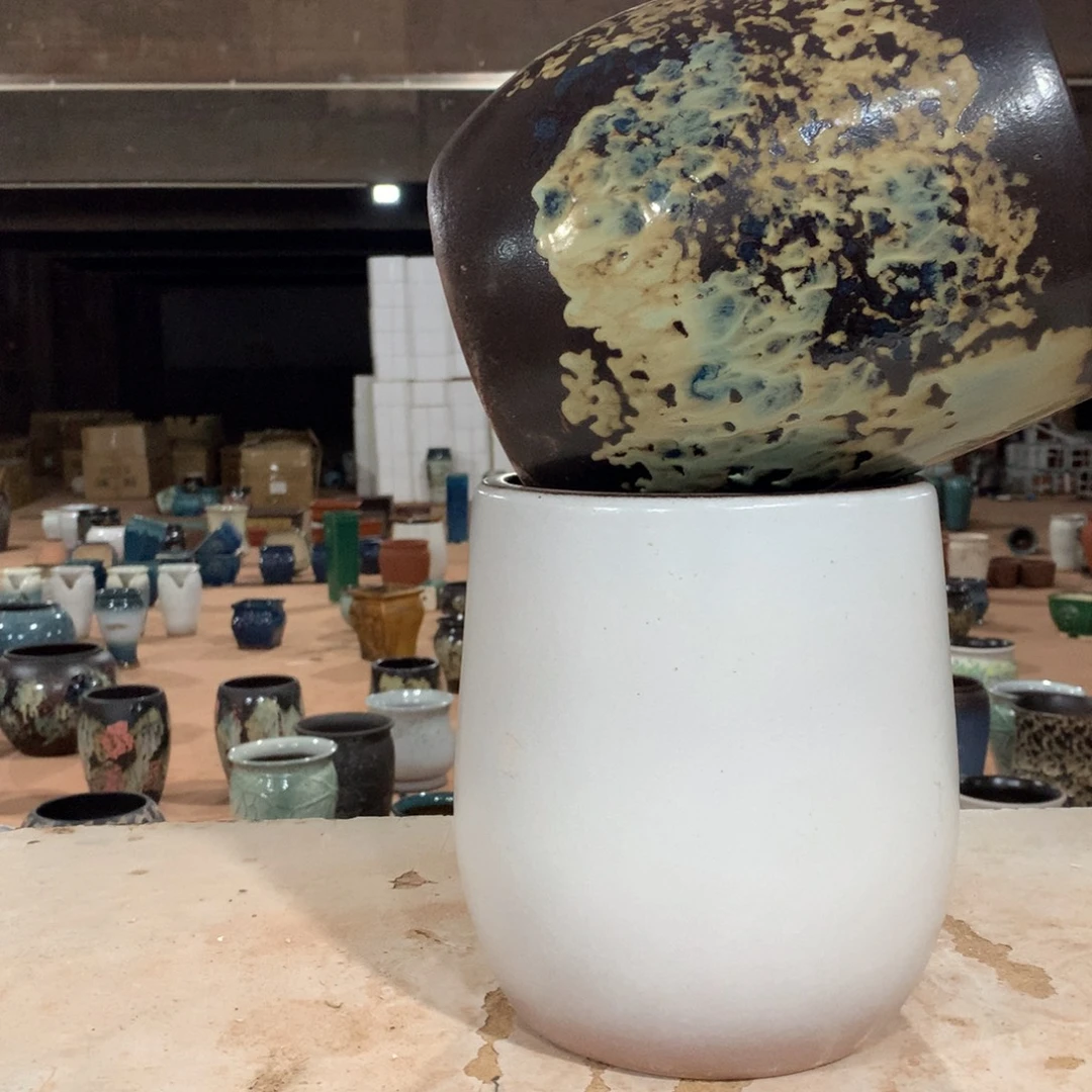 花盆啦啦啦啦啦啦啦