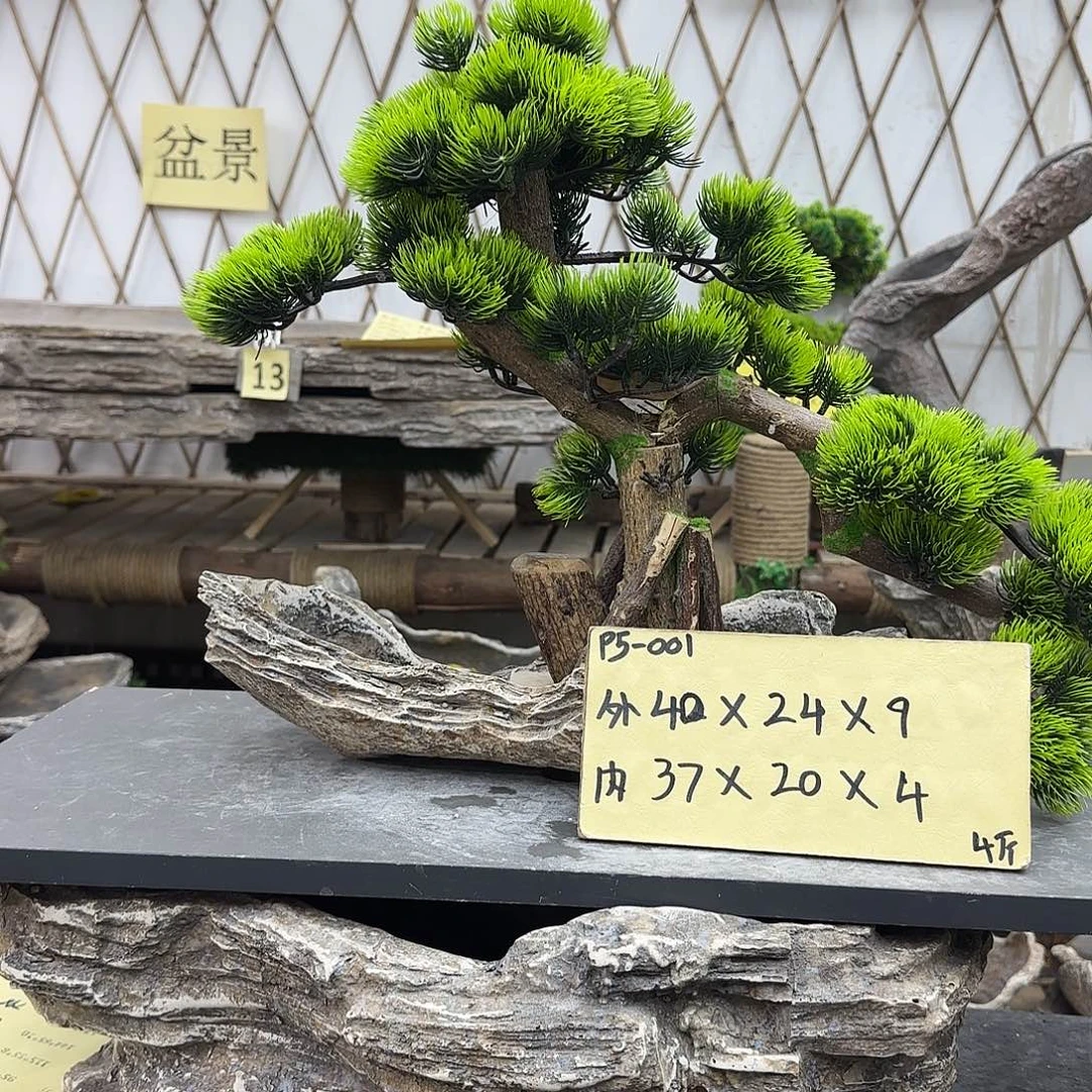 盆景盆栽培技术研究