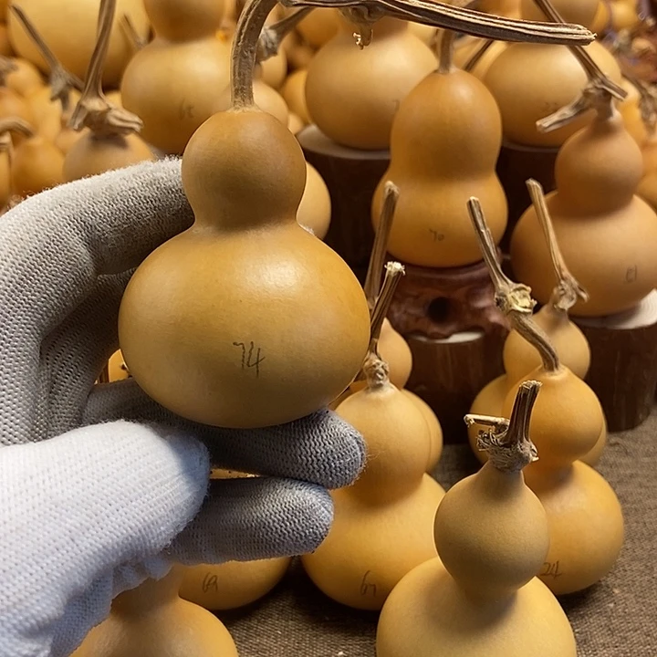 文玩葫芦 完美主义者 慎拍74