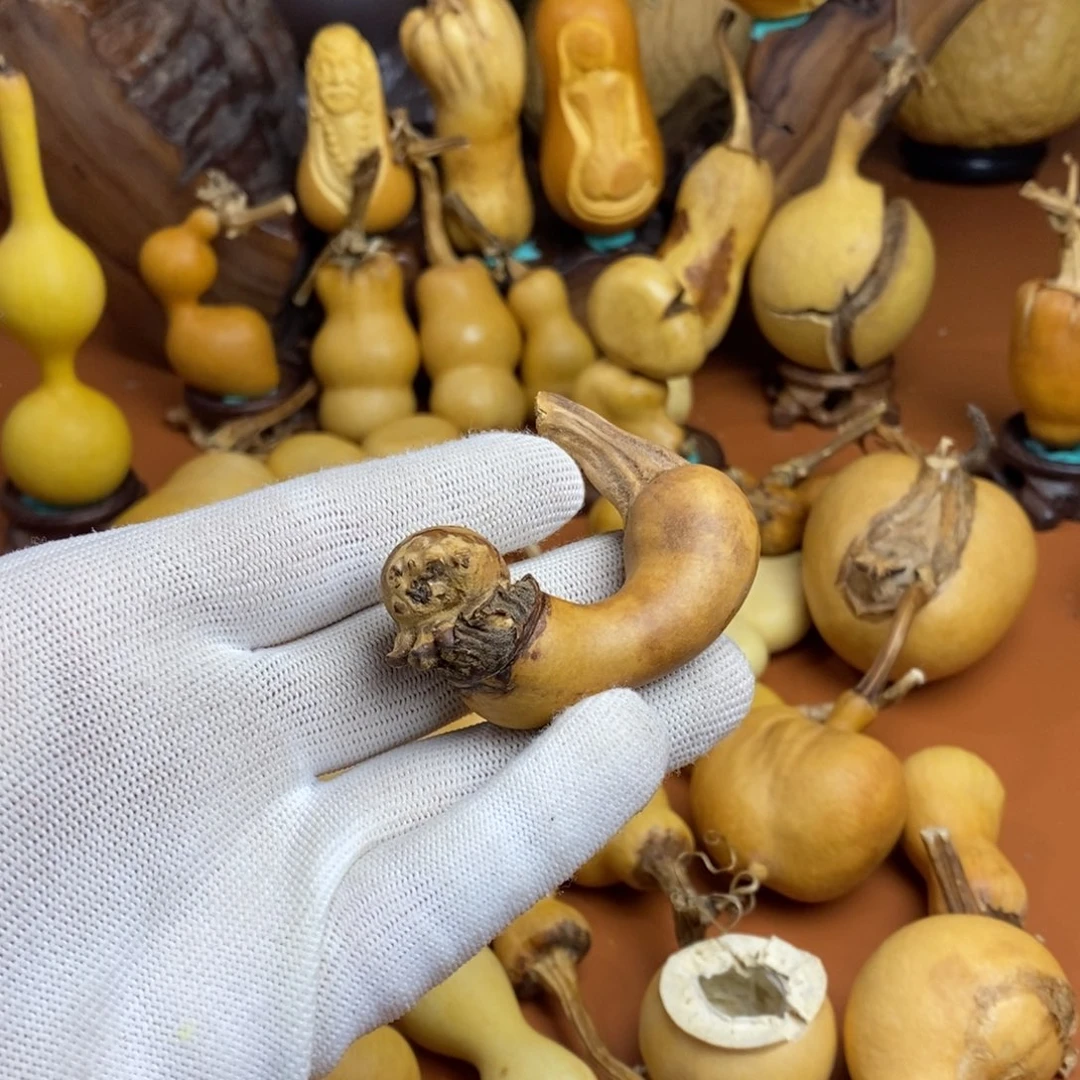 小***禄教练咯教练教练咯