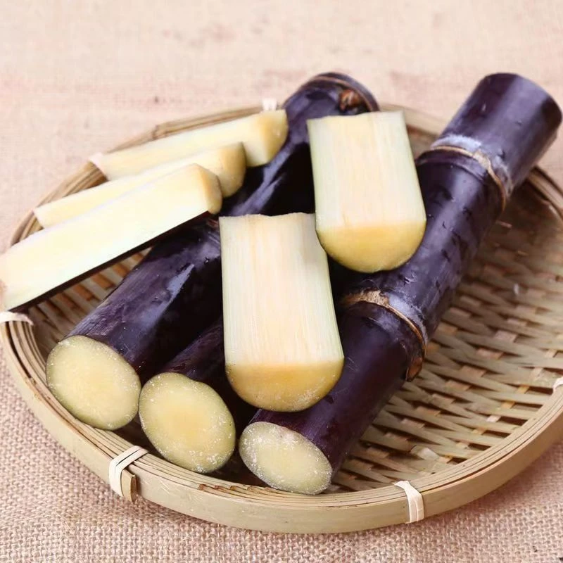 DR【坏果包赔】广西黑皮甘蔗5斤/9斤新鲜现砍应季水果脆甜多汁