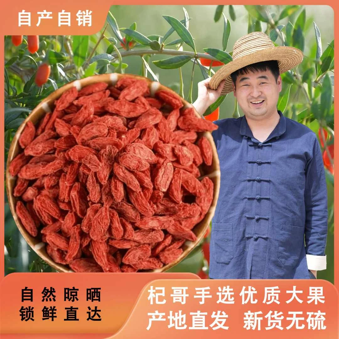 宁夏大果枸杞泡水泡酒正宗无熏染大颗粒枸杞宁夏正宗枸杞