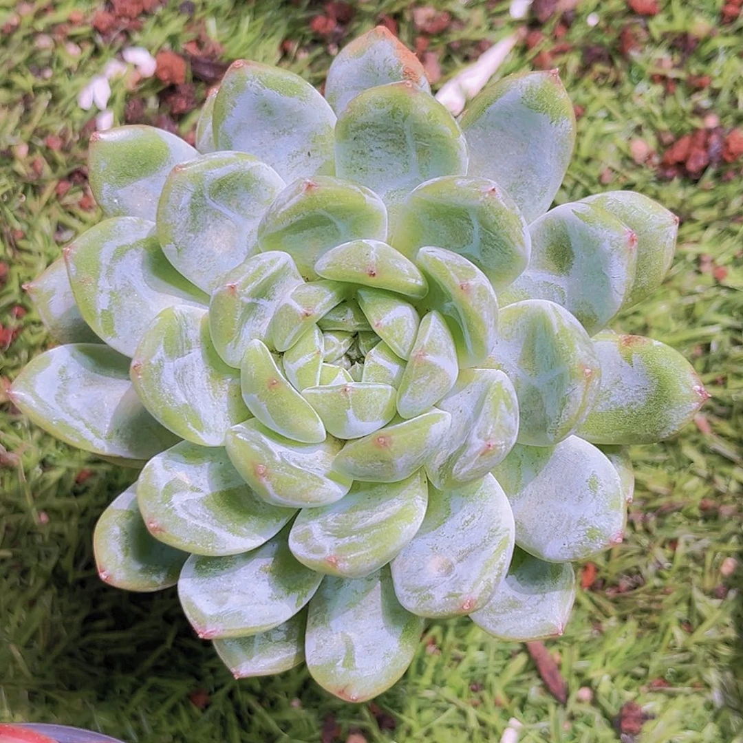 28号888888989898998